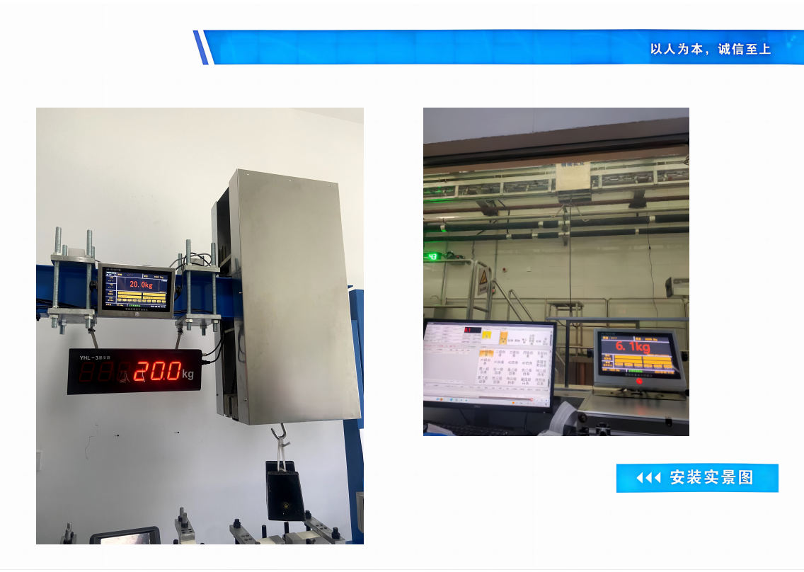 屠宰电子秤